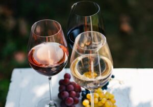 Valle de Colchagua entra en la élite del turismo mundial y es destacado por la BBC como uno de los 20 destinos imperdibles para 2026