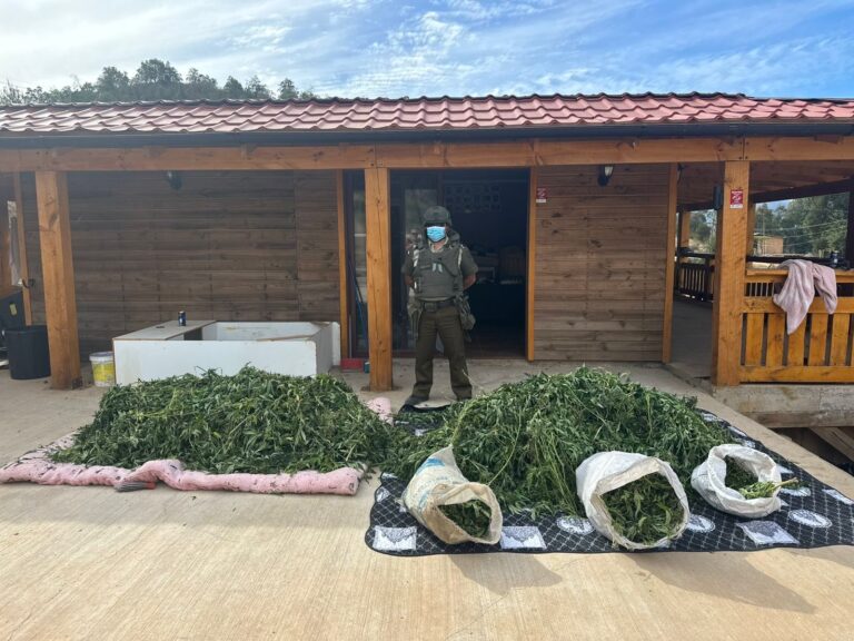 Carabineros detiene a tres sujetos por infracción a la Ley 20.000 en operativo en Lolol